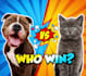 ugc video ads for pet products and brands with cat or dog