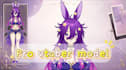 design and rig pro live2d vtuber model for vtube studio