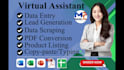 be your executive virtual assistant for data entry, copy paste, data scraping