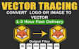 do vector tracing and convert image to vector file