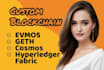 custom blockchain with evmos, geth, cosmos, hyperledger fabric, zksync, cardano