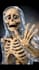 create dr data style ai skeleton animation shorts