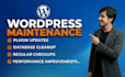 do wordpress website maintenance, wordpress support and fix bugs