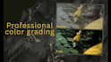 do video color correction and color grading professionally in 24h