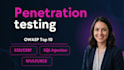 perform professional penetration testing and vulnerability assessment