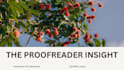 proofread and copy edit 1000 words fast