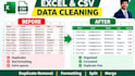 clean, format and organize excel or CSV data