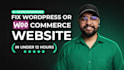 fix wordpress issues, errors, css, provide wp help via zoom