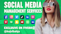 be your social media manager