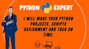 do python project, script, task, website scraping with gui