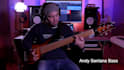 be your professional bass player