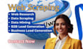 do web scraping, web research for business lead generation