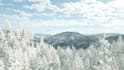 create a beautiful nature based video