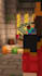 do a professional level minecraft animation