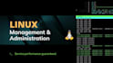 install and fix linux server, wordpress, mysql, nginx, apache, plesk, cpanel
