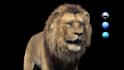 create realistic animal and creature for  films and games