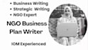 write a professional nonprofit business plan and strategic plan