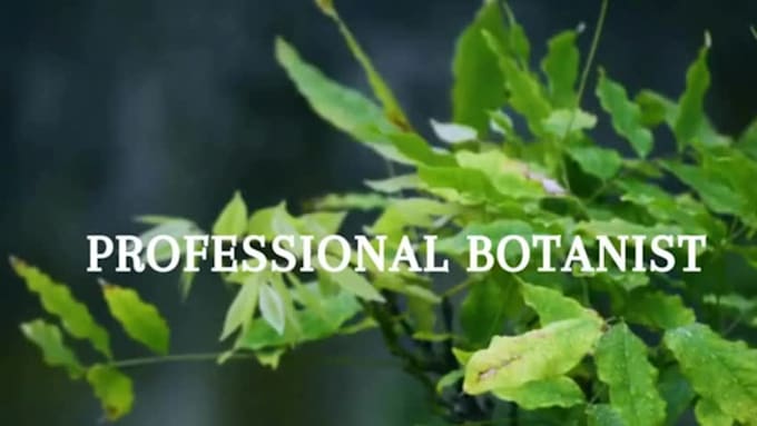 do the best SEO writing related to agriculture  and environmental science