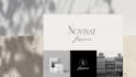 design a logo, social media kit, and branding