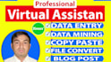 do data entry, copy paste, web research, typing work and excel data entry