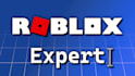 be your most professional roblox game developer