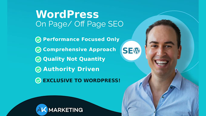 do high quality on page seo for wordpress, wix, shopify, squarespace