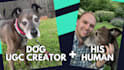 create dog ugc videos for your brand