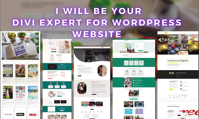 be your expert for divi wordpress website