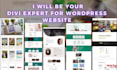 be your expert for divi wordpress website