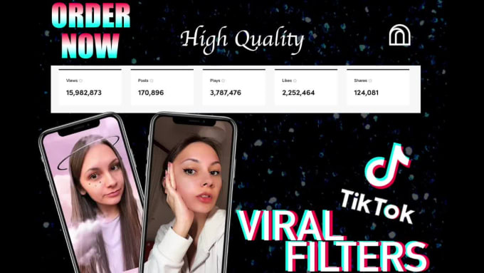 Hire a freelancer to create viral tik tok filters for your page