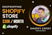 build shopify dropshipping store or ecommerce website