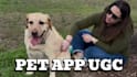create high converting pet app promo and ugc video ads