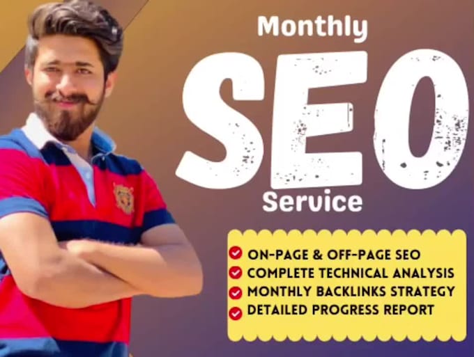 provide monthly SEO service and links building