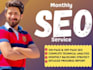 provide monthly SEO service and links building