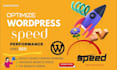 optimize your wordpress website and fix the core web, gtmetrix, web vitral