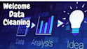 do professional big data cleaning and analysis