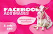 design high converting facebook and instagram ad creatives