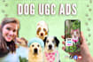 create ugc pet ads for tiktok, facebook, or instagram