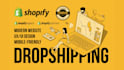 help create and design your dropshipping website on shopify
