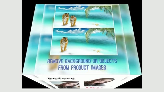 perfectly do image editing and remove the background or items