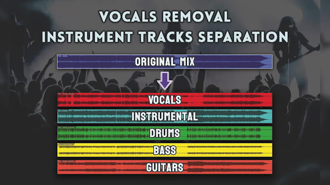 remove vocals or separate instrument tracks from any song