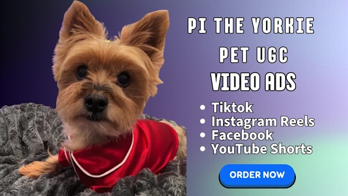 create dog ugc video ads for your pet brand and products