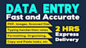 fast and accurate data entry, manual typing work job