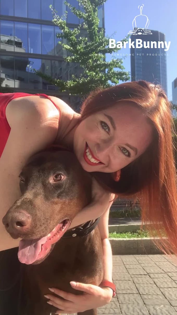create ugc dog content for tiktok instagram or video ads