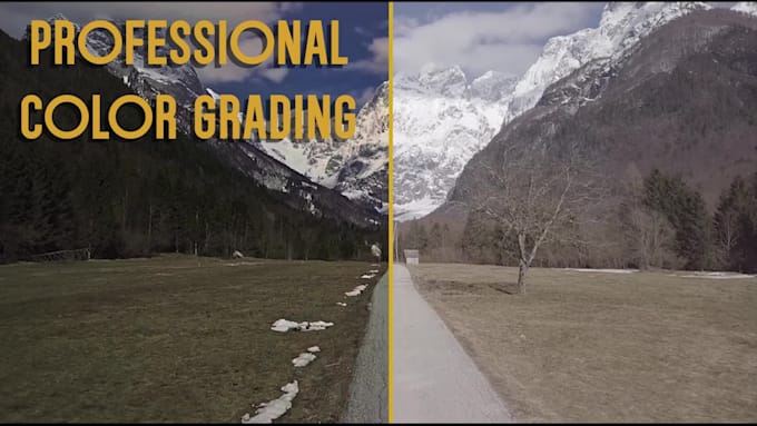color grade your videos