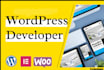 design responsive business wordpress website design and ecommerce