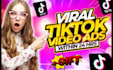 create viral tiktok dropshipping video ads, tiktok video and ads