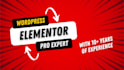 be your elementor expert for elementor pro wordpress website