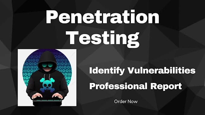 do website penetration testing, identify vulnerabilities