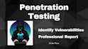 do website penetration testing, identify vulnerabilities